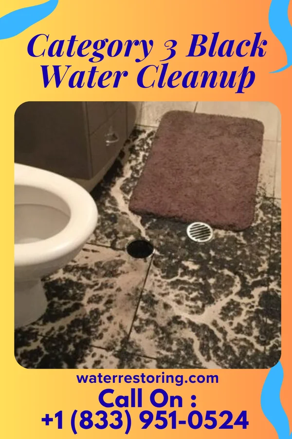 Category 3 Black Water Cleanup in Waldport, OR