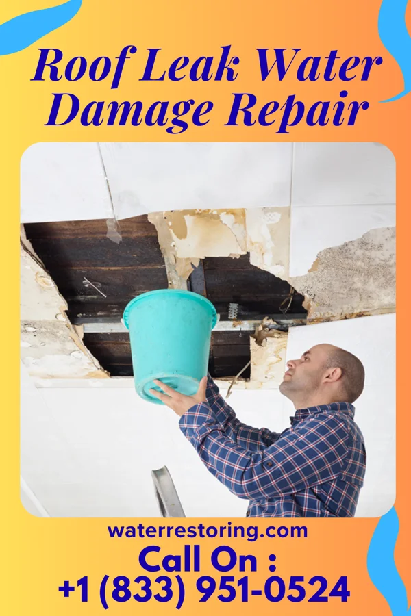 Roof Leak Water Damage Repair in Waldport, OR